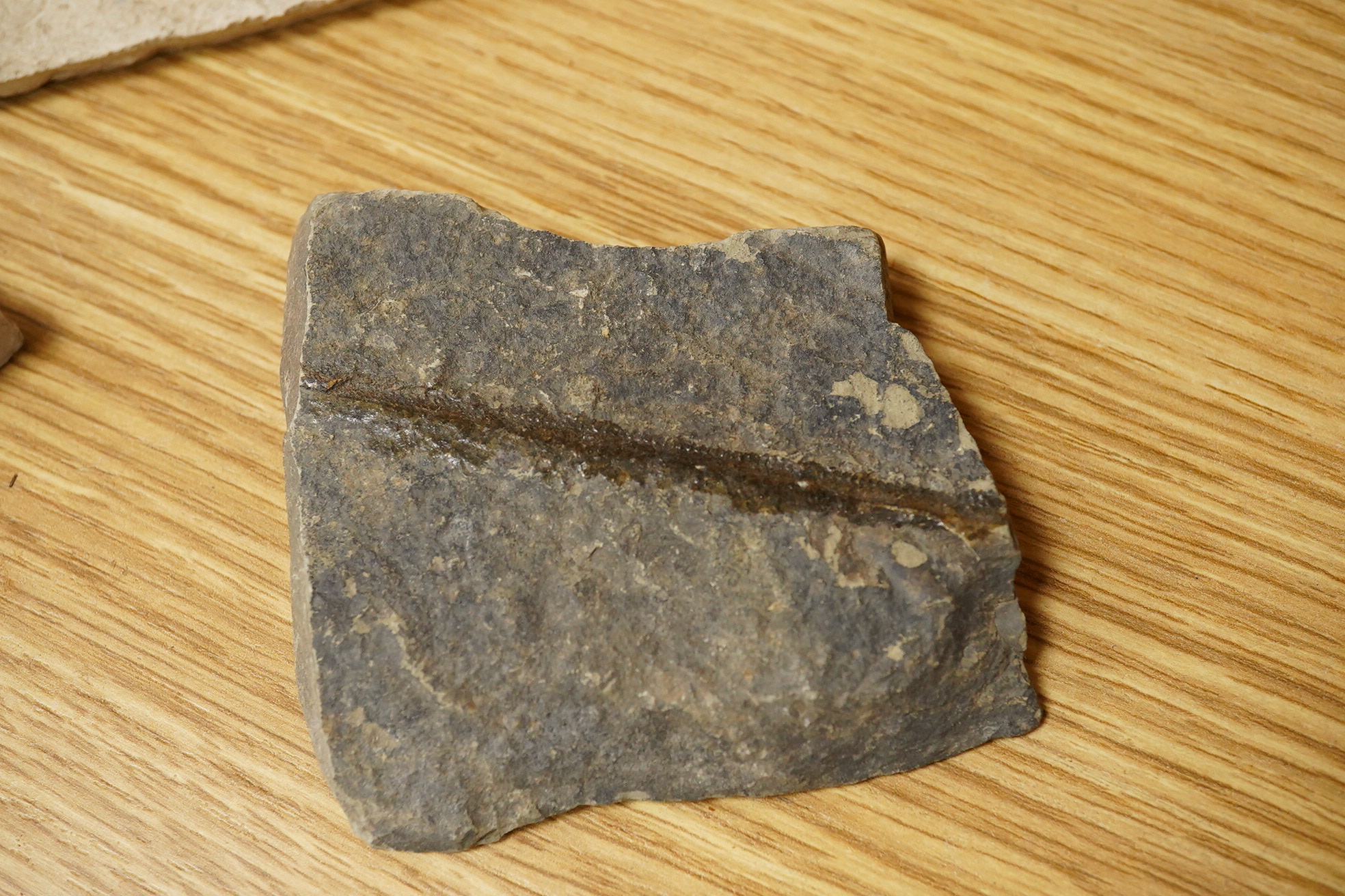 A collection of mineral specimens including quartz, together with fossilised leaves and ammonites on matrix